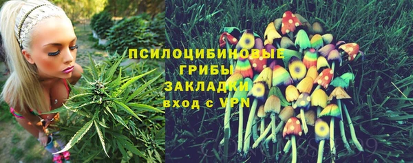круглые Алексеевка