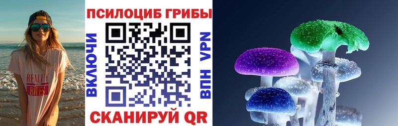 как найти закладки  Омутнинск  Псилоцибиновые грибы Cubensis 